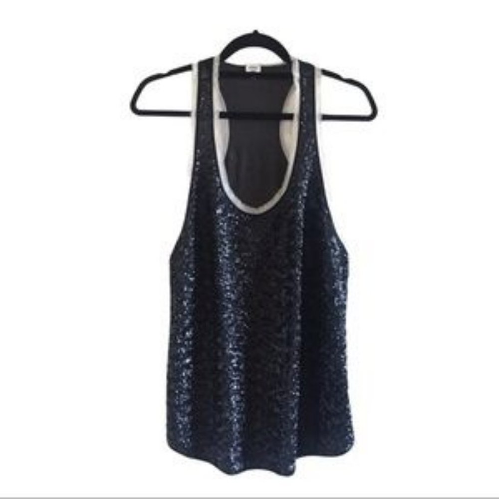 Aritzia Wilfred 100% Silk Tank with lace trim